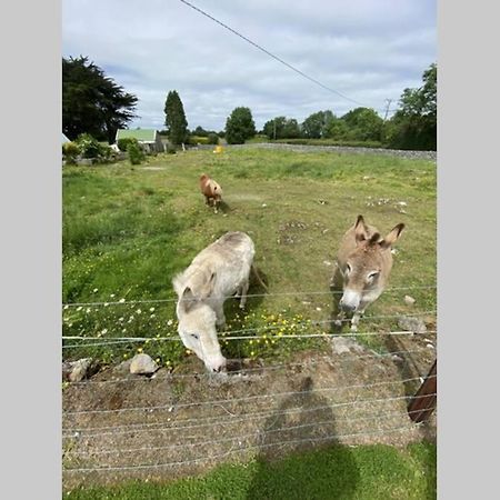 Breathneach House Villa Limerick Junction Екстериор снимка